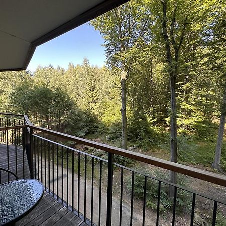 Srodkowa Widok Na Las 2 Pietro Garaz Gratis Szklarska Poręba Exterior foto
